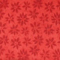 Reflections Red Poinsettia Wrapping Tissue (20"x30")